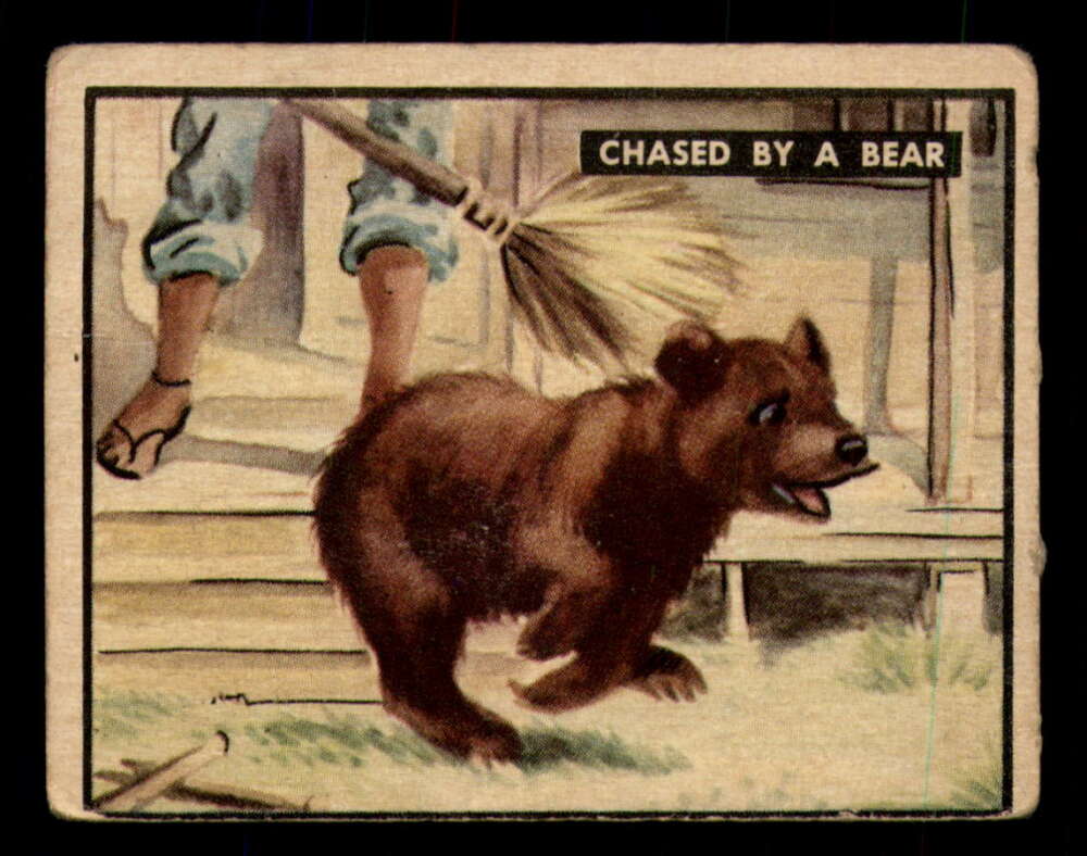 98 Chased By A Bear